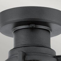 Plafon ogrodowy Suri - 1 źródło światła - Teksturowana czerń