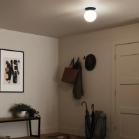 Plafon Albers - 1 źródło światła - Czarny - Wersja A