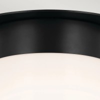 Plafon Albers - 1 źródło światła - Czarny - Wersja B