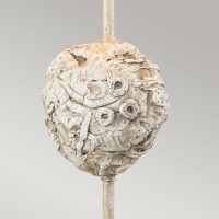 Lampa stołowa Petra - 1 źródło światła - Biały