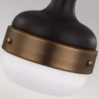Mała lampa wisząca Cadence - 1 źródło światła - Ciemny antyczny mosiądz, matowa czerń