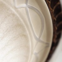 Plafon Drawing Room - 2 źródła światła - Orzech włoski